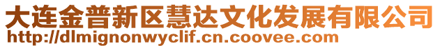 大連金普新區慧達文化發展有限公司