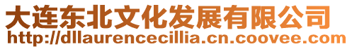 大連東北文化發(fā)展有限公司