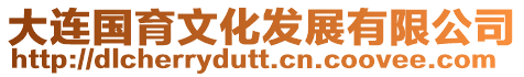 大連國育文化發展有限公司