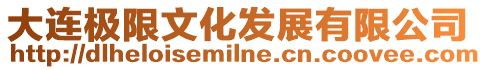 大連極限文化發展有限公司