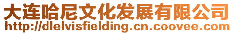 大連哈尼文化發展有限公司