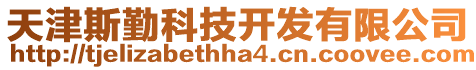 天津斯勤科技開發有限公司