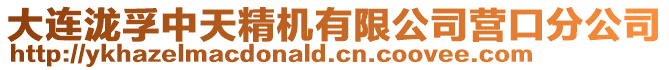 大連瀧孚中天精機有限公司營口分公司