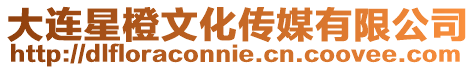 大連星橙文化傳媒有限公司