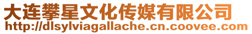 大連攀星文化傳媒有限公司