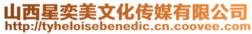 山西星奕美文化傳媒有限公司