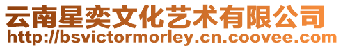 云南星奕文化藝術有限公司