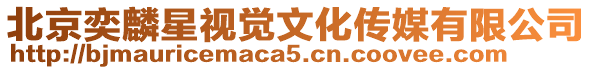 北京奕麟星視覺(jué)文化傳媒有限公司