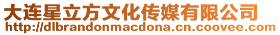 大連星立方文化傳媒有限公司