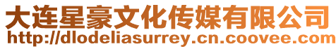 大連星豪文化傳媒有限公司