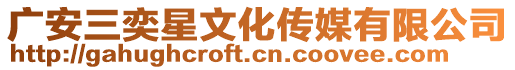 廣安三奕星文化傳媒有限公司