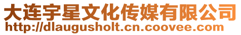 大連宇星文化傳媒有限公司