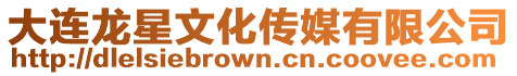 大連龍星文化傳媒有限公司