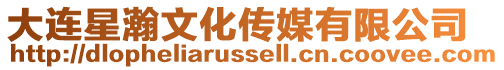 大連星瀚文化傳媒有限公司