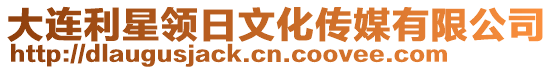 大連利星領日文化傳媒有限公司