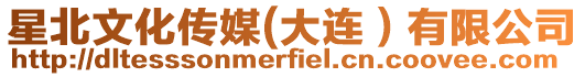星北文化傳媒(大連)有限公司