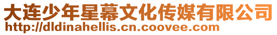 大連少年星幕文化傳媒有限公司