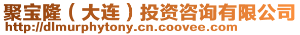 聚寶隆（大連）投資咨詢有限公司