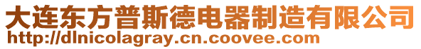 大連東方普斯德電器制造有限公司