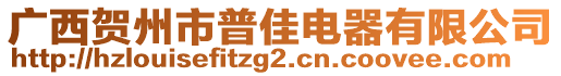 廣西賀州市普佳電器有限公司