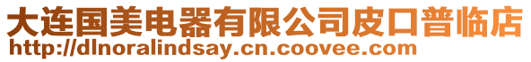 大連國美電器有限公司皮口普臨店