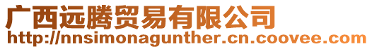廣西遠騰貿易有限公司