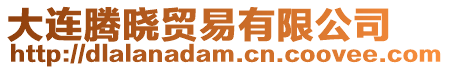 大連騰曉貿易有限公司