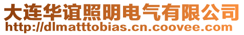 大連華誼照明電氣有限公司