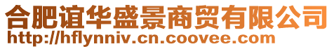 合肥誼華盛景商貿(mào)有限公司