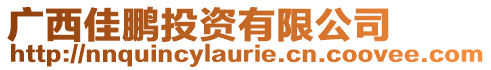 廣西佳鵬投資有限公司