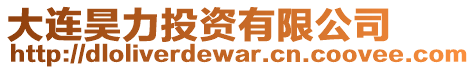 大連昊力投資有限公司