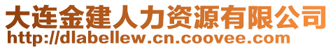 大連金建人力資源有限公司