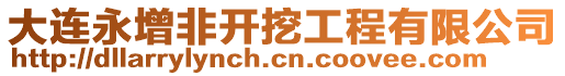 大連永增非開挖工程有限公司