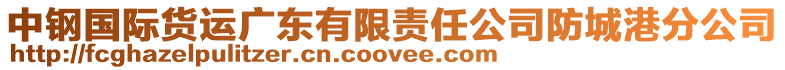 中鋼國際貨運廣東有限責任公司防城港分公司