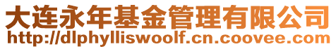 大連永年基金管理有限公司