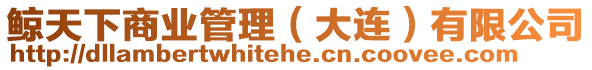 鯨天下商業管理（大連）有限公司