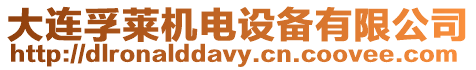 大連孚萊機電設備有限公司