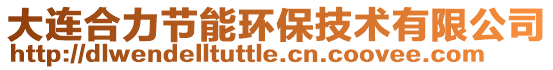 大連合力節(jié)能環(huán)保技術(shù)有限公司
