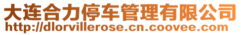 大連合力停車管理有限公司