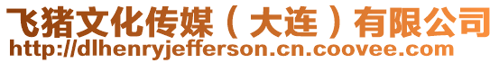 飛豬文化傳媒(大連)有限公司