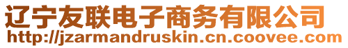 遼寧友聯電子商務有限公司