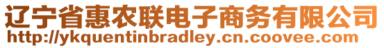 遼寧省惠農(nóng)聯(lián)電子商務(wù)有限公司
