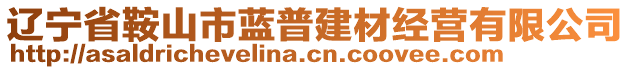 辽宁省鞍山市蓝普建材经营有限公司