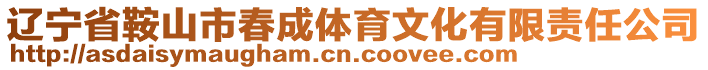 辽宁省鞍山市春成体育文化有限责任公司