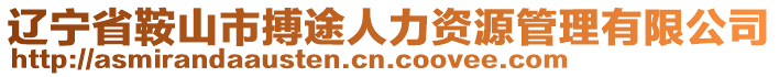 遼寧省鞍山市搏途人力資源管理有限公司