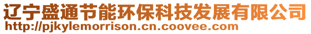 遼寧盛通節(jié)能環(huán)保科技發(fā)展有限公司