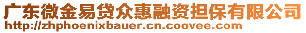 廣東微金易貸眾惠融資擔(dān)保有限公司