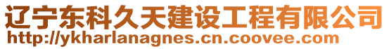 遼寧東科久天建設工程有限公司
