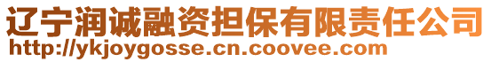 遼寧潤誠融資擔保有限責任公司