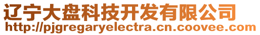 遼寧大盤科技開發有限公司